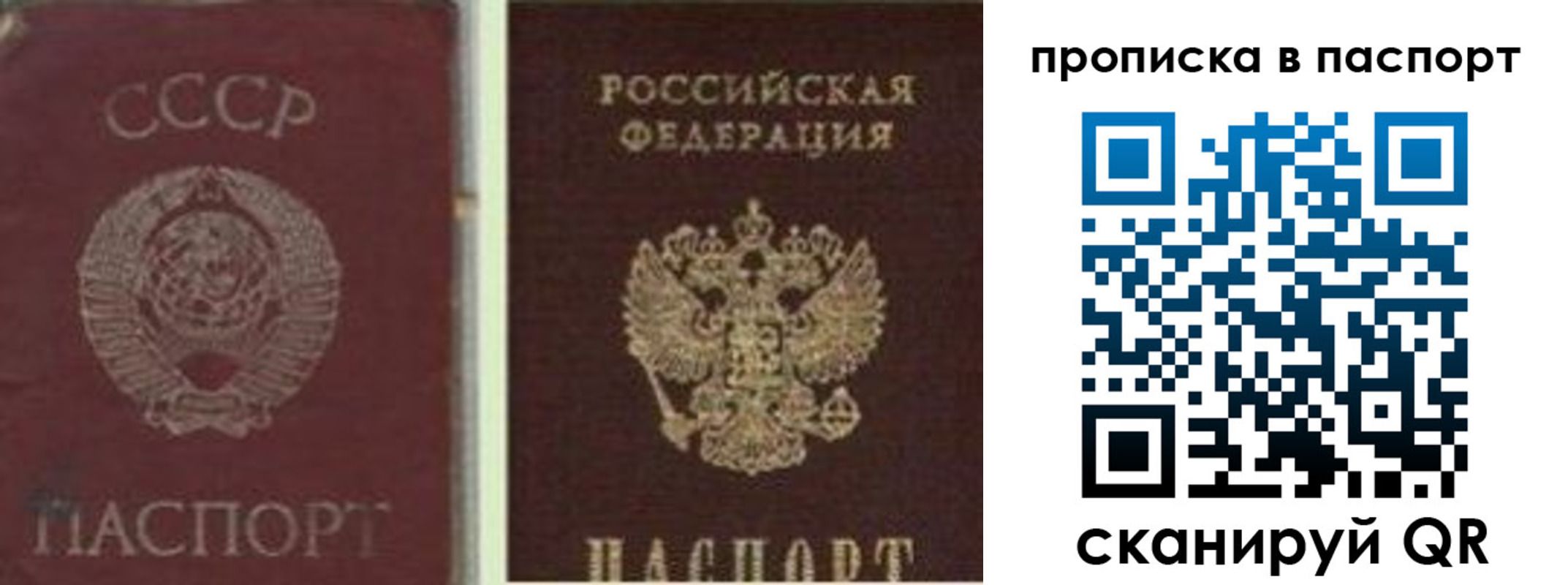 временная регистрация недорого в Павлово